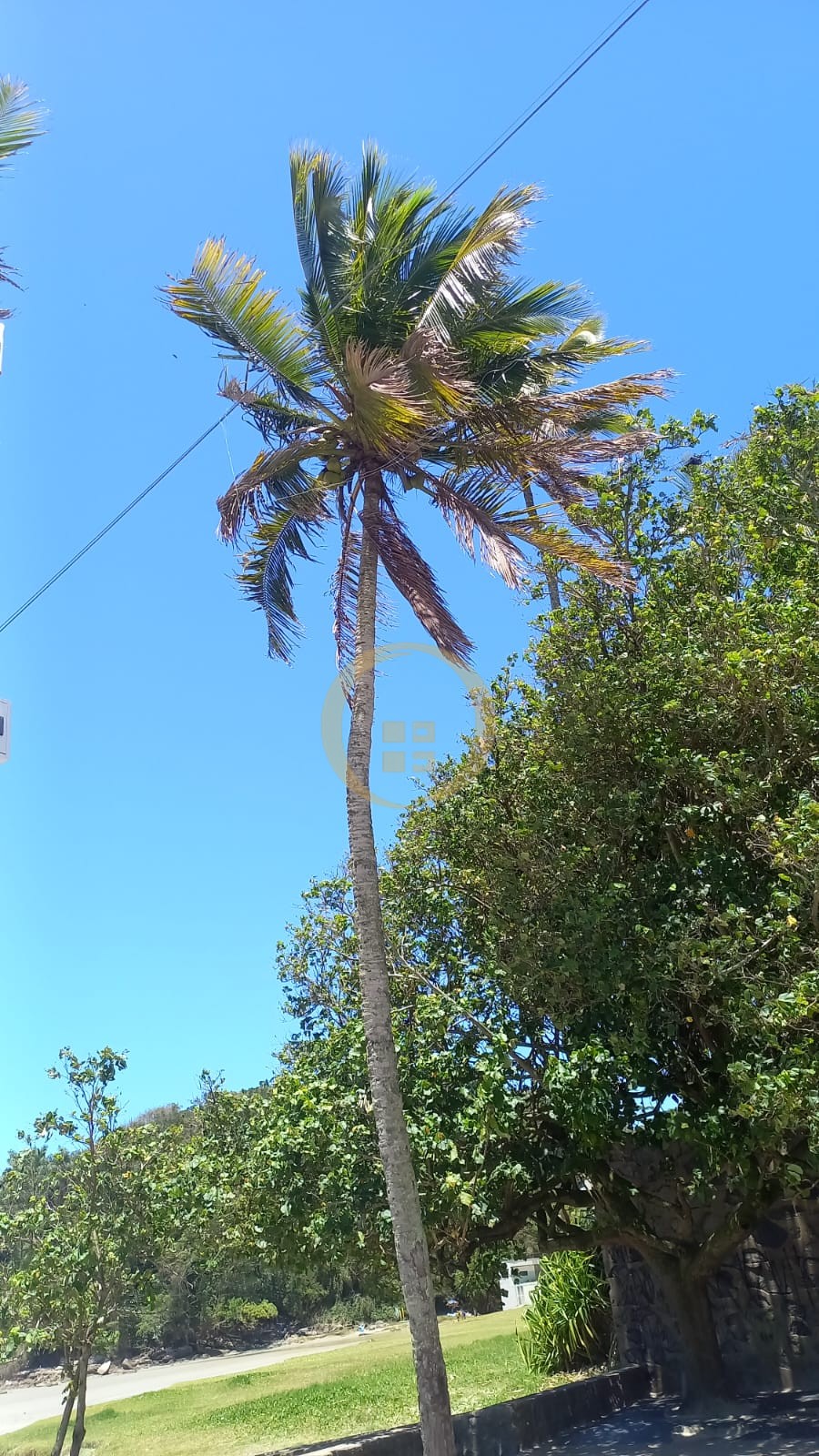 Apartamento na Praia da Enseada, Guarujá - SP